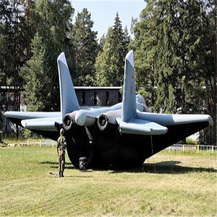 沧县充气飞机模型